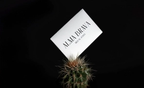 Business card in a cactus